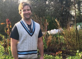 When it comes to feeding the soil, cow manure just can’t be beaten