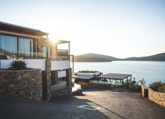 5 Secrets To Help You Survive Your First Year In Real Estate