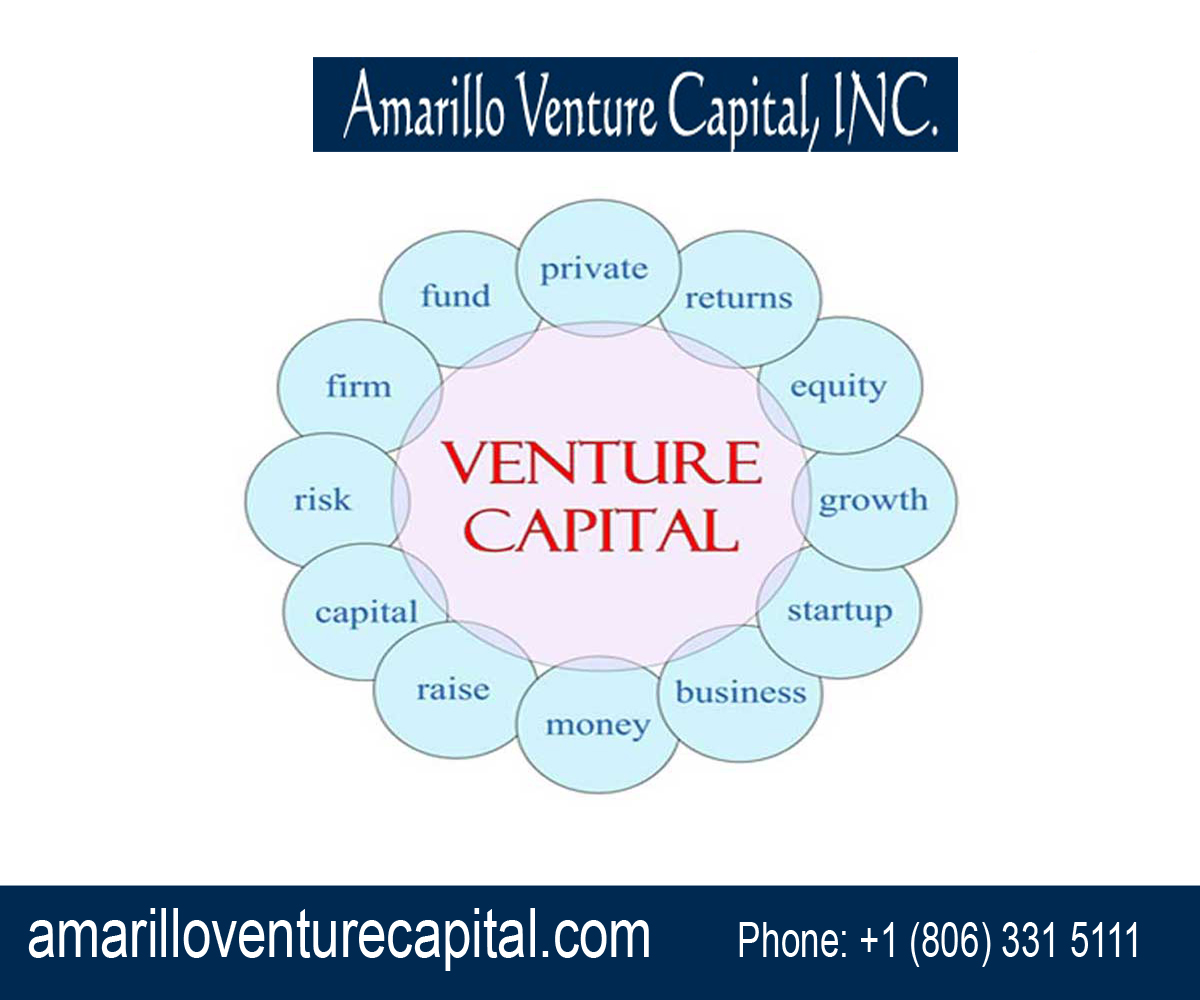 what-is-venture-capital