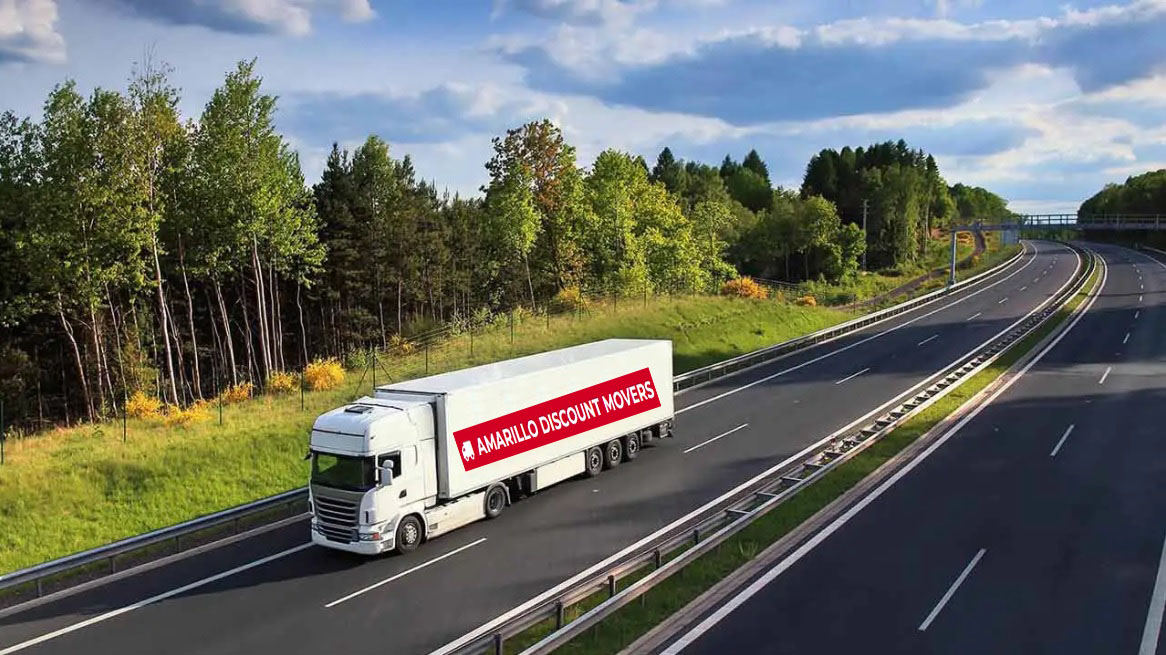 LONG DISTANCE MOVING COMPANY