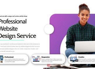 Professional Web Design Services