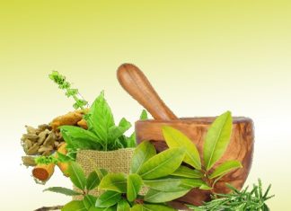 Embracing Holistic Wellness: A Journey with Back to Roots Ayurveda