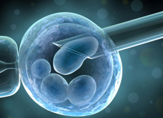 Revolutionizing Design: Engineered Nanoparticles for Enhanced Immune Responses