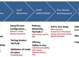 CD BioSciences Pioneers the Frontier of Marine Drug Development