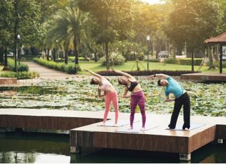 Wellness Industry Players, Segmentation, and Analysis