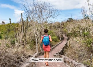 Responsible Wildlife Tourism: Ethical Encounters with Nature